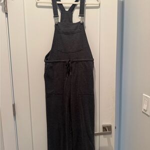 Z Supply charcoal  Women's overalls